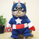 Image for article titled Meet China's Next Cat Celebrity
